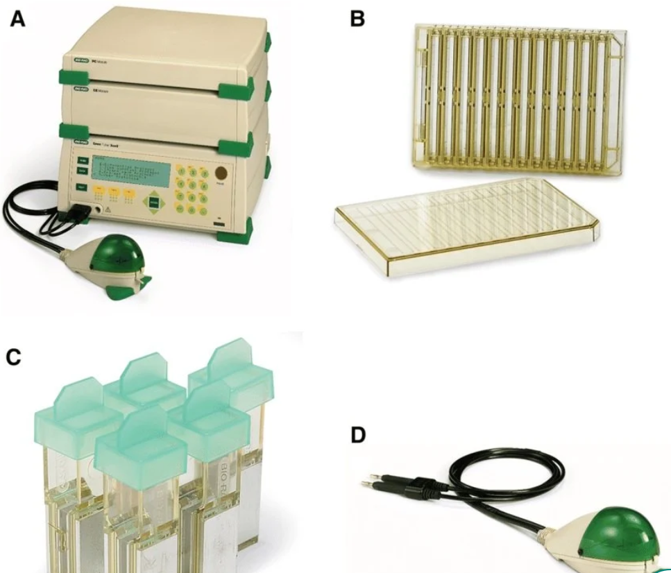 伯樂(lè)電穿孔系統(tǒng)擦操作指南