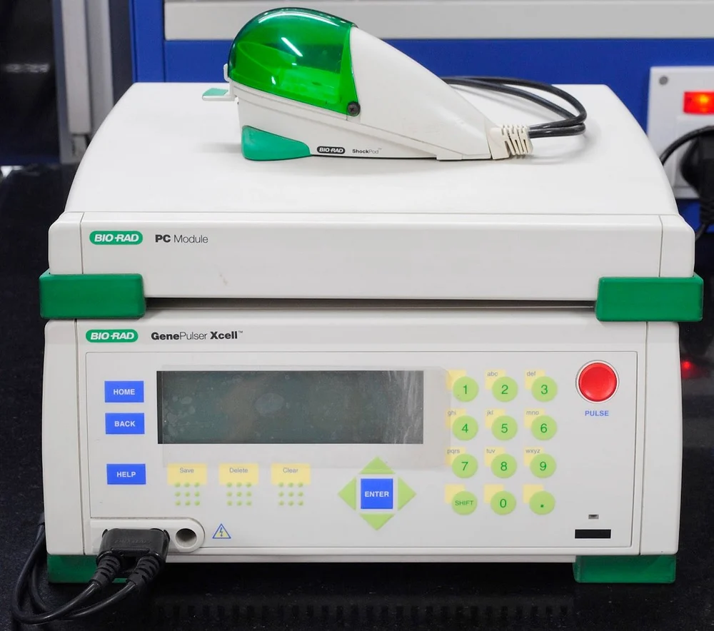 伯樂(lè)電轉(zhuǎn)儀使用說(shuō)明書（通用版）