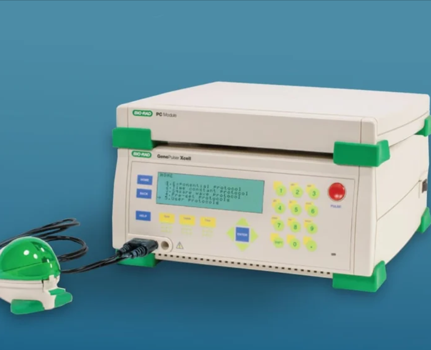 伯樂(lè)Gene Pulser Xcell?電穿孔系統(tǒng)詳解