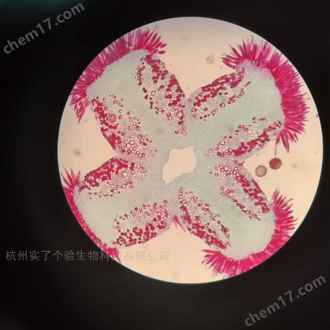 奧林巴斯SZX16體視顯微鏡